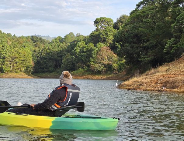 Persona recorriendo la orilla en kayak