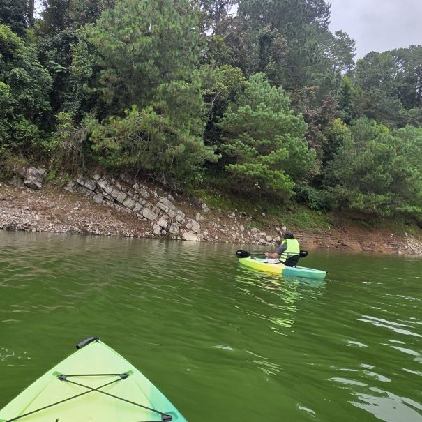 Kayaks frente a la vegetación de la orilla