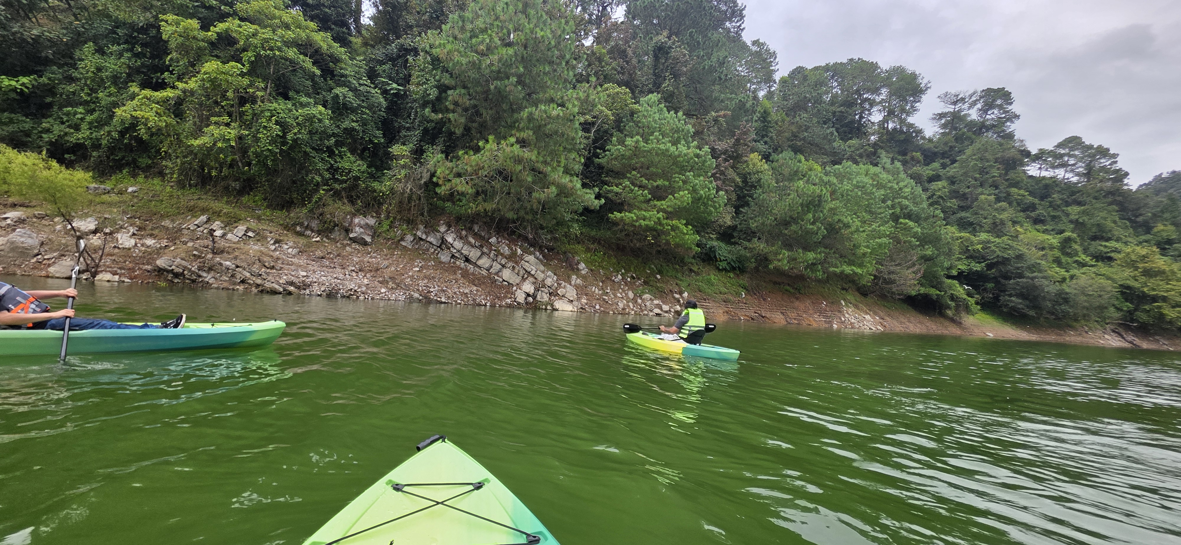 Kayaks frente a la vegetación de la orilla
